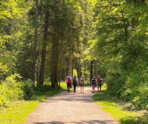 Chemin2